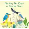 Bir Kuş, Bir Çiçek ve Toprak Teyze