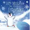 Bir Milyon Ne Kadar Büyük? (Sünger Kapaklı)