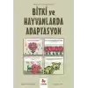 Bitki ve Hayvanlarda Adaptasyon – Gençler İçin Çizgilerle Bilim