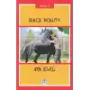 Black Beauty - Stage 2