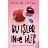 Bu İşler İnce İşler