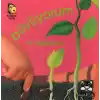 Büyüyorum ve Değişiyorum