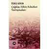 Çağdaş Zihin Felsefesi Tartışmaları
