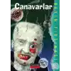 Canavarlar / Beyin Fırtınası