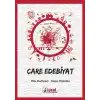 Çare Edebiyat