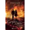 Carpe Diem 2 Çözüm