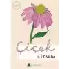 Çiçek Kitabım
