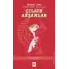 Çılgın Akşamlar