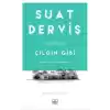 Çılgın Gibi