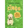 Cingo