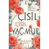 Çisil Çisil Yağmur