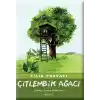 Çitlembik Ağacı