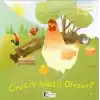 Oluşum Hikayeleri - Civciv nasıl oluşur?