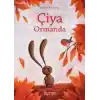 Çiya Ormanda