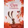 Çiya Ormanda