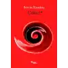 Çukur
