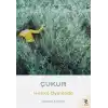 Çukur