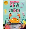 Curious Kids: Sea And Shore