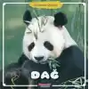 Dağ - Hayvanlar Dünyası