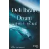 Deli İbram Divanı