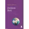 Delinin Biri