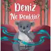 Deniz Ne Renktir?