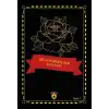 Die Geschichte Der Lotus-Fee - Stufe 1