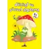 Dikkat ve Görsel Algılama (5+ Yaş)