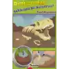 Dinozorlar Hakkında Ne Biliyoruz? - Fosil Gizemleri