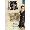 Dişi Örümcek