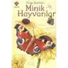 Doğa Kartları - Minik Hayvanlar