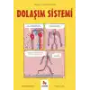 Dolaşım Sistemi - Gençler İçin Çizgilerle Bilim