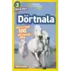 Dörtnala - Atlarla İlgili 10 Eğlenceli Bilgi - 3 Seviye