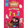 Doru Etkinlik ve Boyama - Sayılar