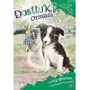 Dostluk Ormanı 10 - Nazlı Pofudukun Büyük Sürprizi
