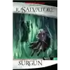 Drizzt Efsanesi 2 - Sürgün