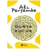 Dünya Küçük