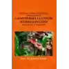 Dünya Literatüründen Örneklerle Ganoderma Lucidum (Reshi-Lingzhi) Ve Sağlığa Etkileri