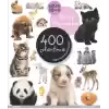 Eğlen Öğren Bebek Hayvanlar 400 Çıkartma