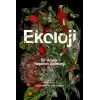 Ekoloji: Bir Arada Yaşamın Geleceği