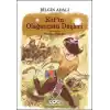 Elif’in Olağanüstü Düşleri