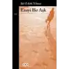 Enayi Bir Aşk