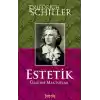 Estetik Üzerine Mektuplar