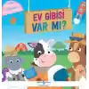 Ev Gibisi Var Mı?