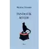 Fantastik Şeyler