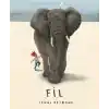Fil - Ciltsiz