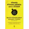 Finans Piyasalarında (Saklı) Düzen Risk, Çöküş ve Kazanç