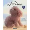 Fırtına