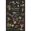 Gece Savaşları