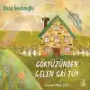 Gökyüzünden Gelen Gri Tüy